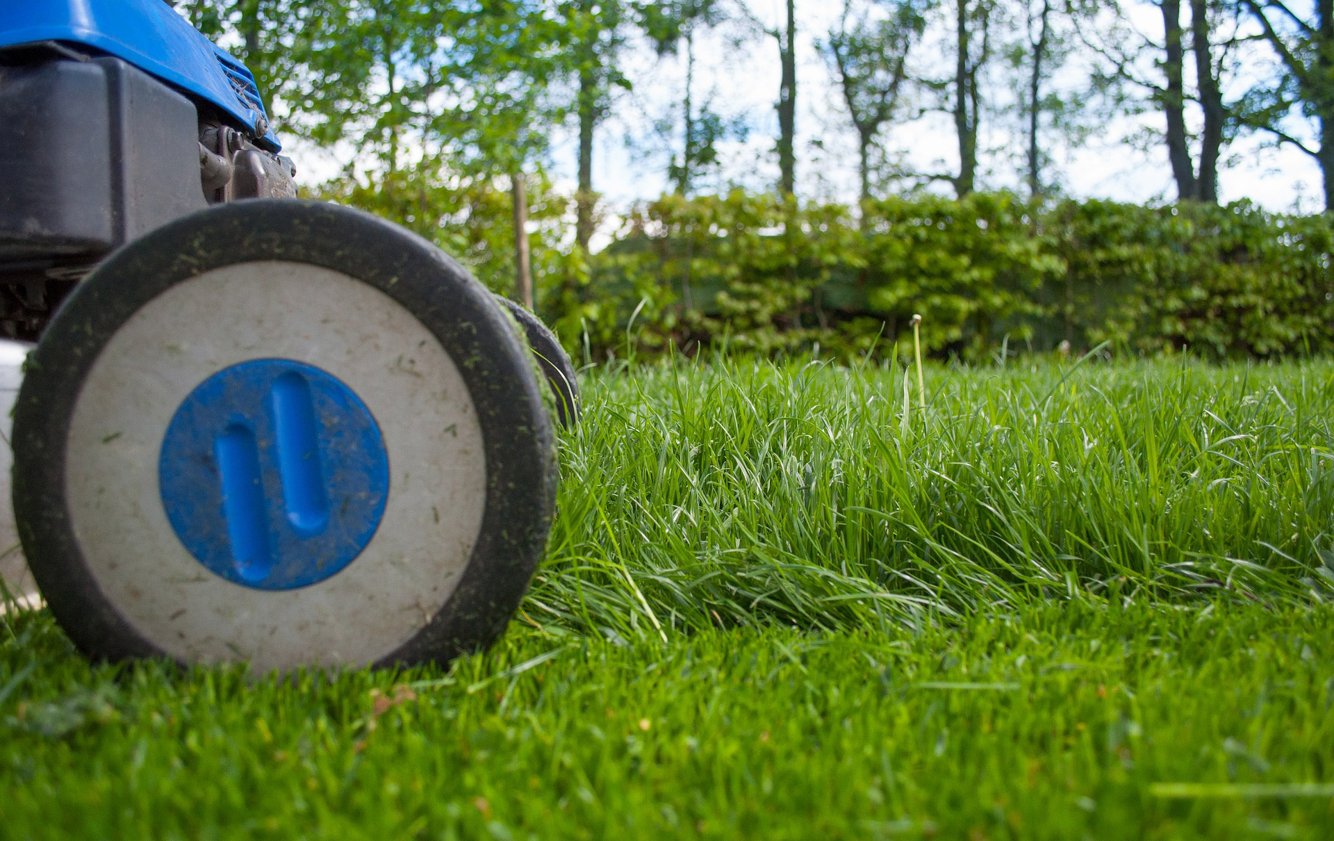 manutenzione del verde marche