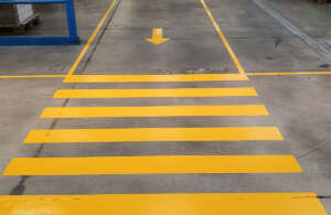 segnaletica orizzontale marche 15