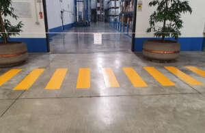 segnaletica orizzontale marche 19