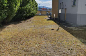 servizi pulizia spazi verdi marche