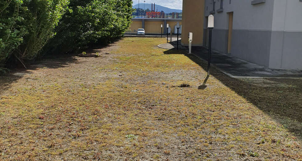 servizi pulizia spazi verdi marche