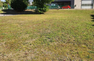 servizi pulizia spazi verdi marche