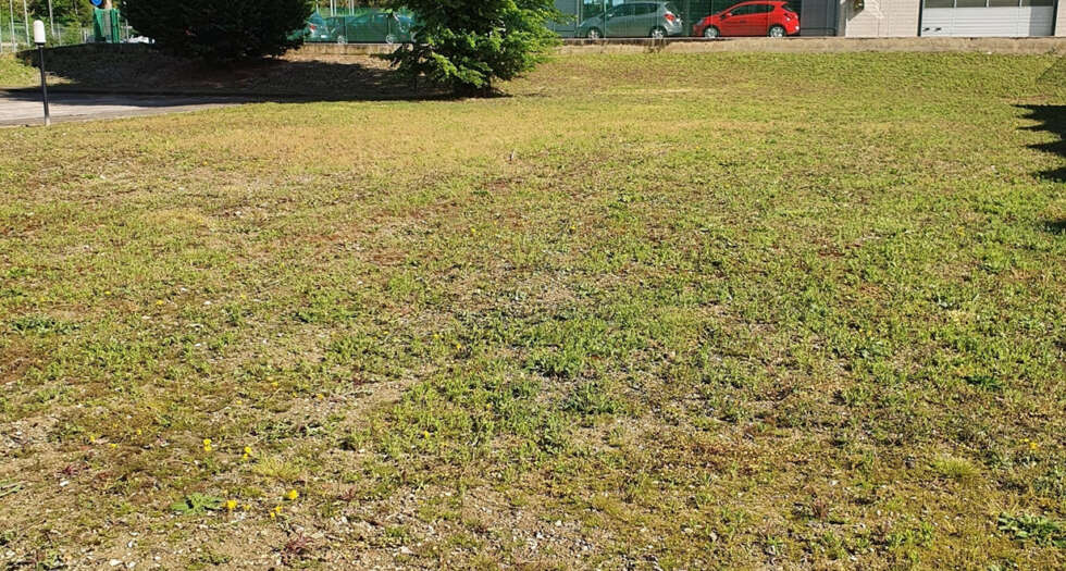 servizi pulizia spazi verdi marche